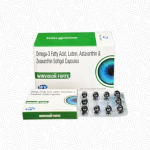 WINVISION FORTE S.G.C.