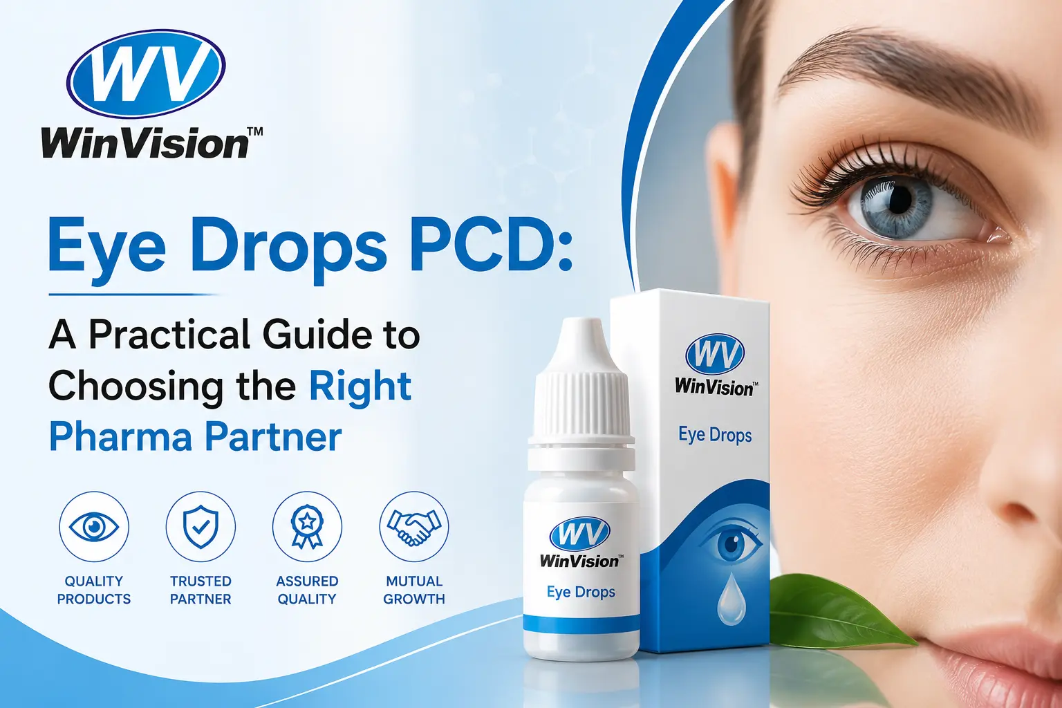 Eye Drops PCD A Practical Guide to Choosing the Right Pharma Partner